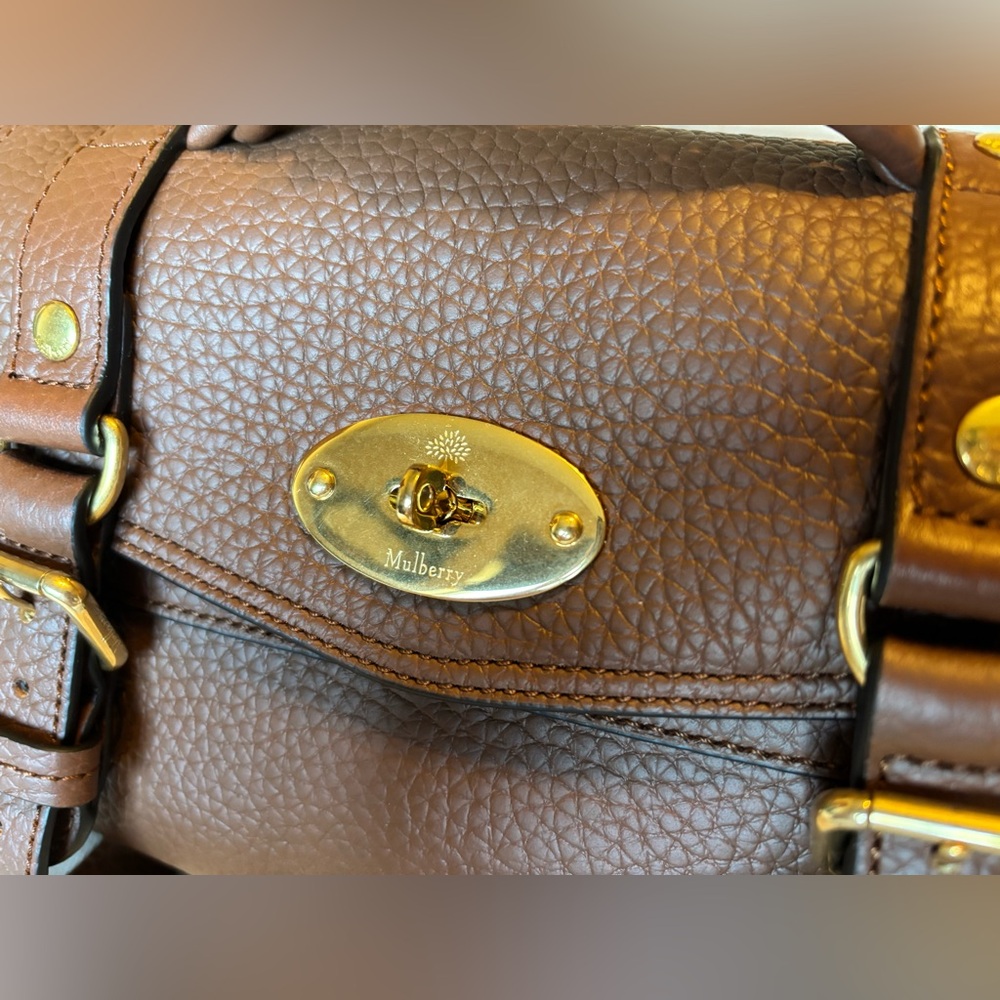 Mulberry Mini Alexa - Picture 7 of 11